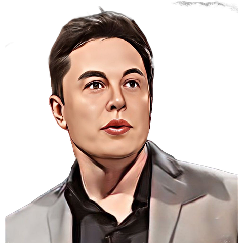 About Elon Musk