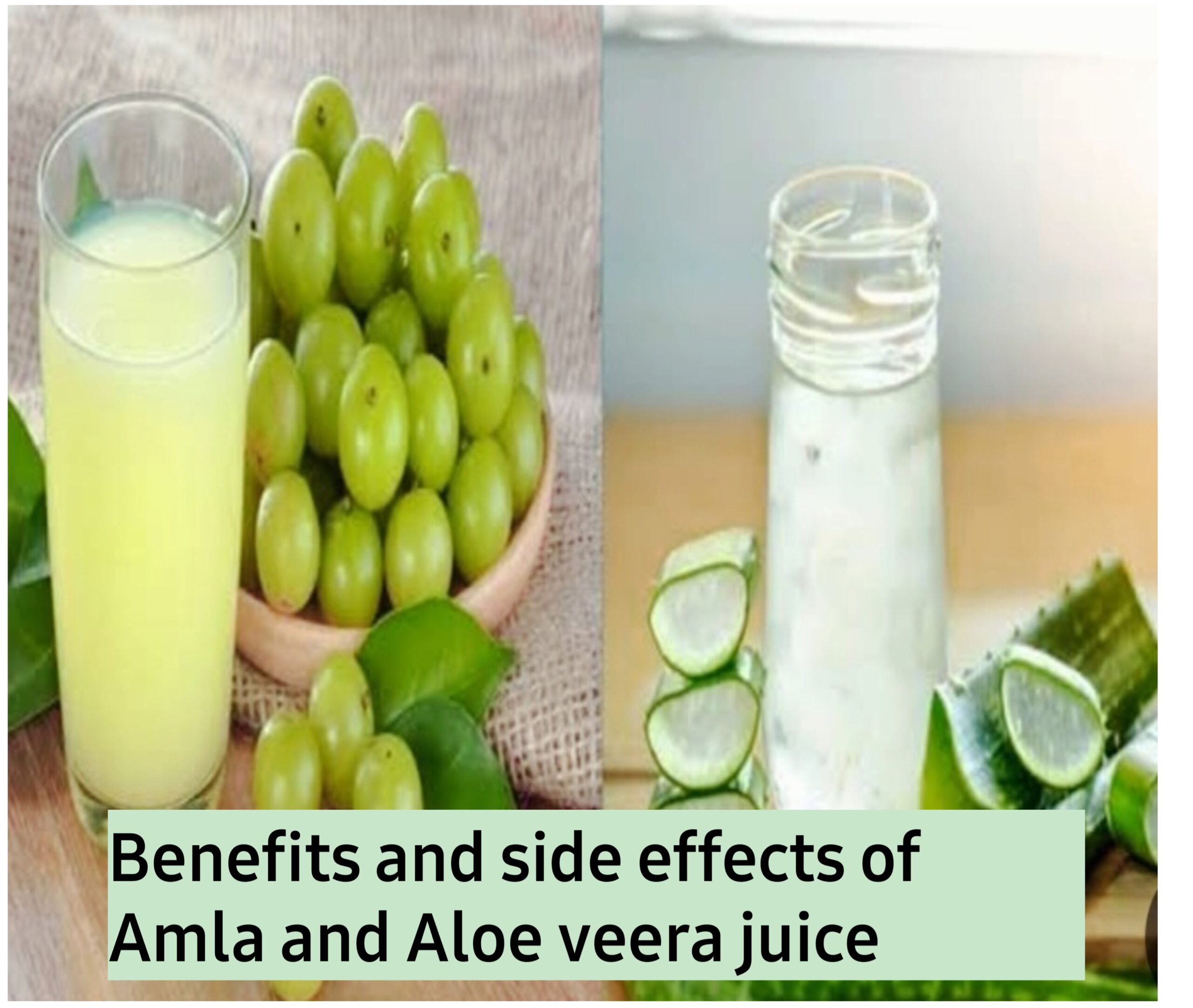 Benefits And Side Effects Of Amla And Aloe Veera Juice The Universal Gyaan 8415